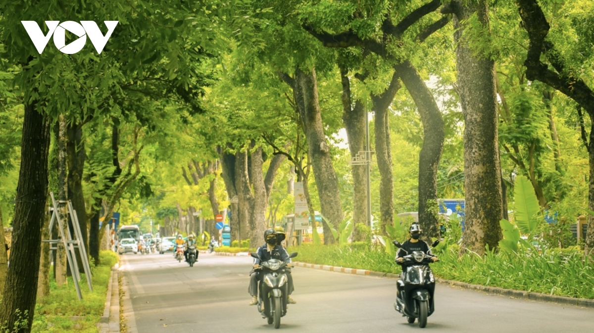 Hanoi named among Asia’s top spots for autumn foliage